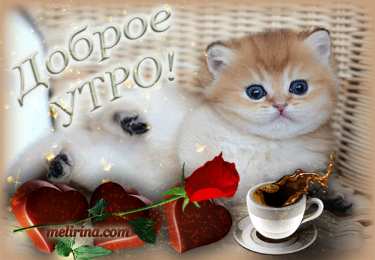 доброе утро доброе утро. открытки с добрым утром. с добрым утром. желаю доброго утра