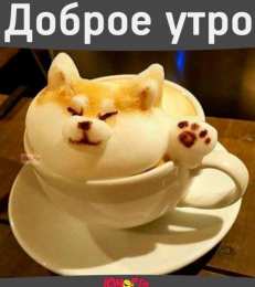 Открытка доброе утро Утренние открытки с поздравлениями для девшуки