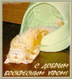 воскресенье Счастливого воскресенья