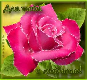 с любовью открытки с любовью, с любовью для тебя,
