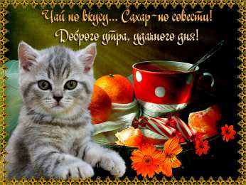 доброе утро доброе утро. открытки с добрым утром. с добрым утром. желаю доброго утра