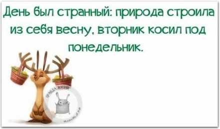 вторник вторник. с добрым вторником.