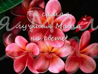 с днем рождения, мама папа, с днем рождения. любимому папе в день рождения. открытки на день рождения папы. с днем рождения, папуля. поздравляю с днем рождения, папа, 