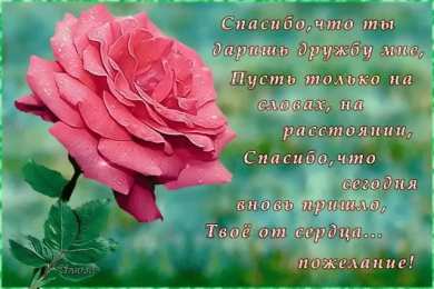 спасибо открытки спасибо, thank you, merci, благодарю тебя, большое спасибо