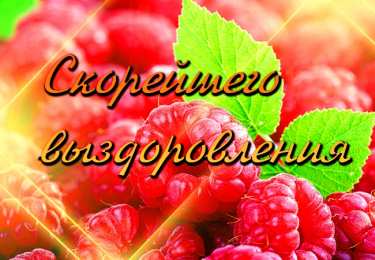 выздоравливай выздоравливай. желаю скорейшего выздоровления. не болей