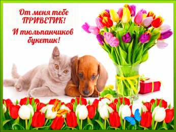  привет открытки привет, как дела. как настроение. пожелание хорошего дня