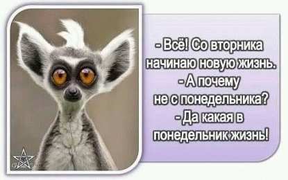 вторник вторник. с добрым вторником.