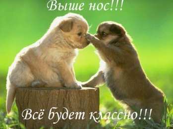 не грусти, не скучай не грусти. не скучай. все будет хорошо. улыбнись. все пройдет