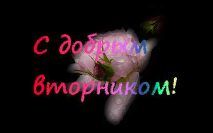 вторник вторник. с добрым вторником.