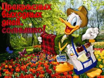 приятных выходных Приятных выходных