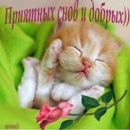 Открытки спокойной ночи спокойной ночи. открытки с пожеланием спокойной ночи. приятных снов. сладких снов. приятных сновидений. доброй ночи. нежных снов. волшебных снов. спите сладко  спокойной ночи. открытки с пожеланием спокойной ночи. приятных снов. сладких снов. приятных сновидений. доброй ночи. нежных снов. волшебных снов. спите сладко 