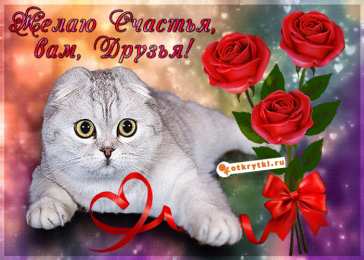 счастья счастья. открытки с пожеланием счастья