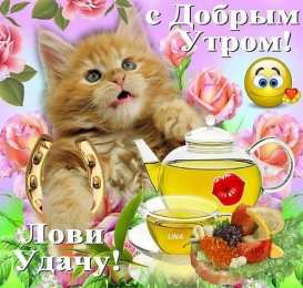 доброе утро доброе утро. открытки с добрым утром. с добрым утром. желаю доброго утра