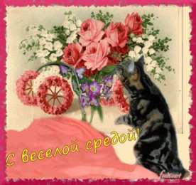 среда С веселой средой