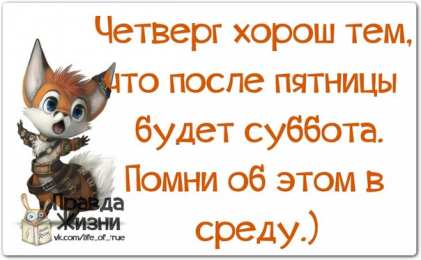 среда С веселой средой