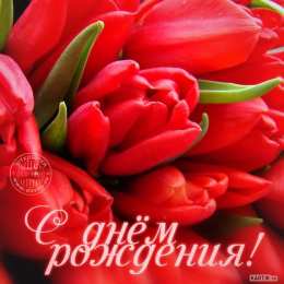 с днем рождения (девушке) и, пожелания с днем рождения девушке, цветы
