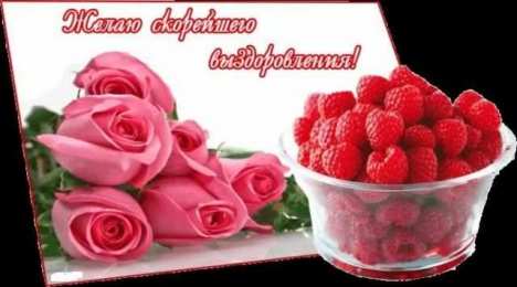 Открытки выздоравливай выздоравливай. желаю скорейшего выздоровления. не болей выздоравливай. желаю скорейшего выздоровления. не болей