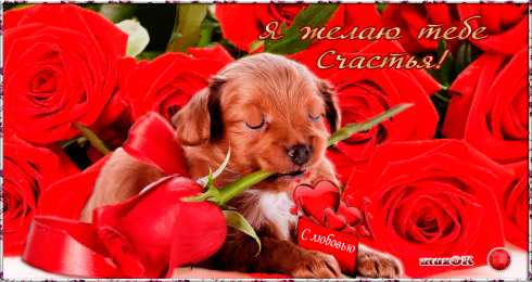 счастья счастья. открытки с пожеланием счастья