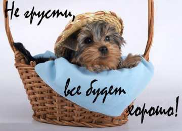 Открытки не грусти, не скучай не грусти. не скучай. все будет хорошо. улыбнись. все пройдет не грусти. не скучай. все будет хорошо. улыбнись. все пройдет