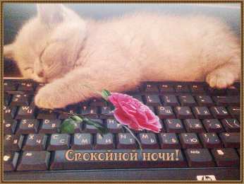 Открытки спокойной ночи спокойной ночи. открытки с пожеланием спокойной ночи. приятных снов. сладких снов. приятных сновидений. доброй ночи. нежных снов. волшебных снов. спите сладко  спокойной ночи. открытки с пожеланием спокойной ночи. приятных снов. сладких снов. приятных сновидений. доброй ночи. нежных снов. волшебных снов. спите сладко 