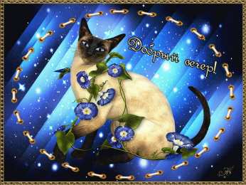 Открытки добрый вечер добрый вечер. приятного вечера. доброго вам вечера. хорошего вечера. приятного летнего вечера. отдыхайте с удовольствием .хорошего вечера, приятного общения добрый вечер. приятного вечера. доброго вам вечера. хорошего вечера. приятного летнего вечера. отдыхайте с удовольствием .хорошего вечера, приятного общения