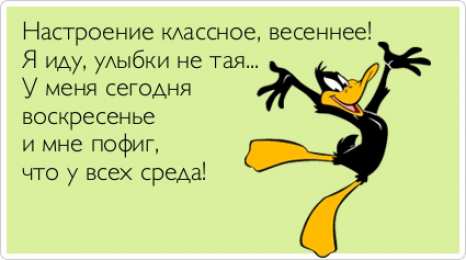 среда С веселой средой