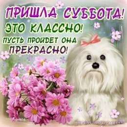 суббота Хорошего субботнего дня