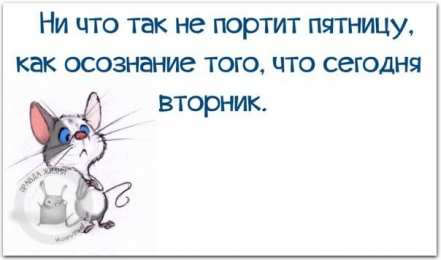 вторник вторник. с добрым вторником.