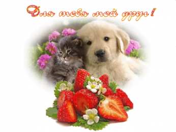 открытки для друзей скачать открытки для друзей, приятные слова для друзей, спасибо друзья, 