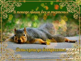 понедельник понедельник. открытки к понедельнику. опять понедельник. легкого