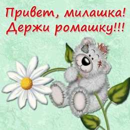  привет открытки привет, как дела. как настроение. пожелание хорошего дня