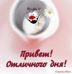  привет открытки привет, как дела. как настроение. пожелание хорошего дня
