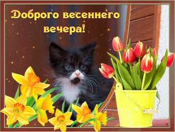 Открытки добрый вечер добрый вечер. приятного вечера. доброго вам вечера. хорошего вечера. приятного летнего вечера. отдыхайте с удовольствием .хорошего вечера, приятного общения добрый вечер. приятного вечера. доброго вам вечера. хорошего вечера. приятного летнего вечера. отдыхайте с удовольствием .хорошего вечера, приятного общения