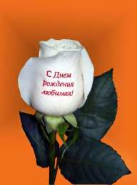 с днем рождения, любимый/любимая с днем рождения, любимый