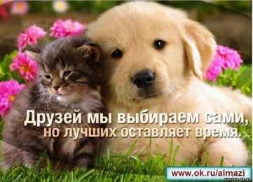 открытки для друзей скачать открытки для друзей, приятные слова для друзей, спасибо друзья, 