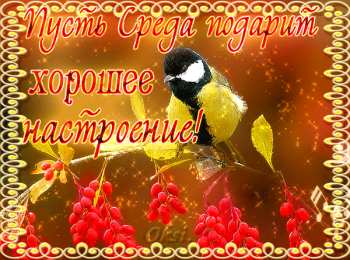 среда С веселой средой