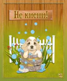 Открытки не грусти, не скучай не грусти. не скучай. все будет хорошо. улыбнись. все пройдет не грусти. не скучай. все будет хорошо. улыбнись. все пройдет