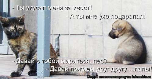 давай мириться Давай мириться