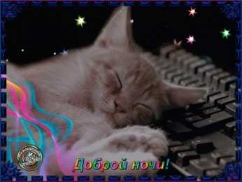 Открытки спокойной ночи спокойной ночи. открытки с пожеланием спокойной ночи. приятных снов. сладких снов. приятных сновидений. доброй ночи. нежных снов. волшебных снов. спите сладко  спокойной ночи. открытки с пожеланием спокойной ночи. приятных снов. сладких снов. приятных сновидений. доброй ночи. нежных снов. волшебных снов. спите сладко 