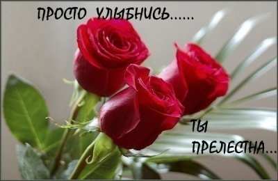 улыбнись улыбнись. улыбайся. smile. улыбка. улыбайся и мир улыбнется тебе