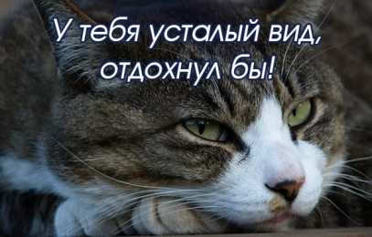 отдохни, удачного отдыха отдохни. удачного отдыха. пришло время отдохнуть. пора расслабиться. приятного отдыха. хорошего отдыха. веселого отпуска. 