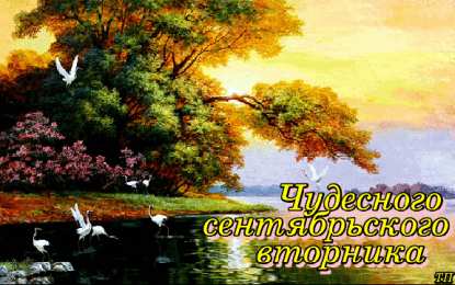 вторник вторник. с добрым вторником.