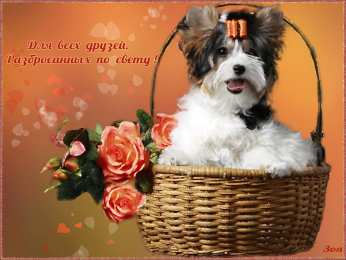 открытки для друзей скачать открытки для друзей, приятные слова для друзей, спасибо друзья, 