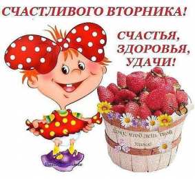 вторник вторник. с добрым вторником.