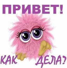  привет открытки привет, как дела. как настроение. пожелание хорошего дня