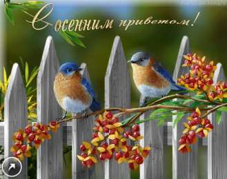 с первым днем осени С началом осени