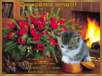 Открытки спокойной ночи спокойной ночи. открытки с пожеланием спокойной ночи. приятных снов. сладких снов. приятных сновидений. доброй ночи. нежных снов. волшебных снов. спите сладко  спокойной ночи. открытки с пожеланием спокойной ночи. приятных снов. сладких снов. приятных сновидений. доброй ночи. нежных снов. волшебных снов. спите сладко 