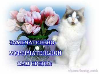 среда С веселой средой