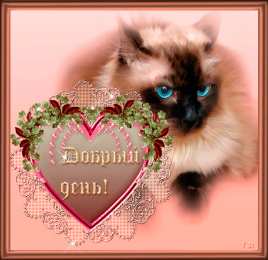 добрый день добрый день. открытки добрый день.доброго дня. хорошего дня. удачного дня