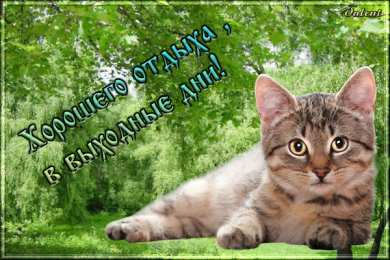 приятных выходных Приятных выходных